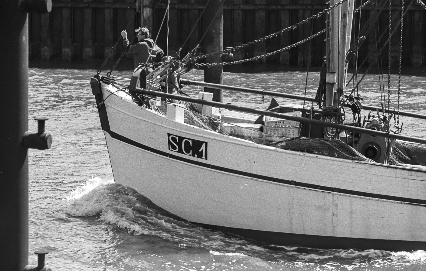 Büsum ist für seine Krabbenfischer berühmt.<br />Das alte Büsumer Fischereikennzeichen ist „SC“  (Schleswigsch-Büsum).
