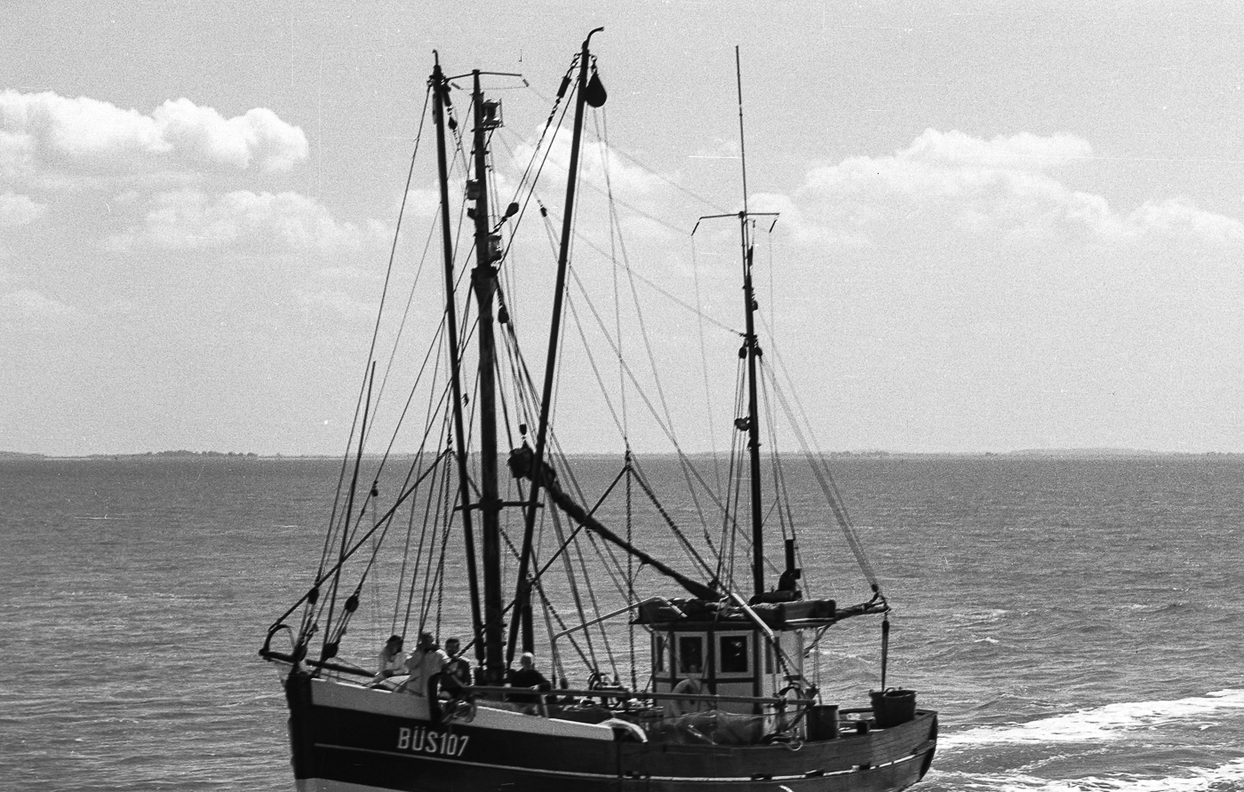 BÜS ist das neue Fischereikennzeichen für Büsum.