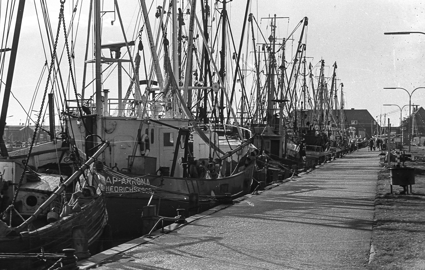 Im Hafen liegen aber nicht nur Büsumer Kutter, sondern je nach Fanglage auch solche aus Friedrichskoog.